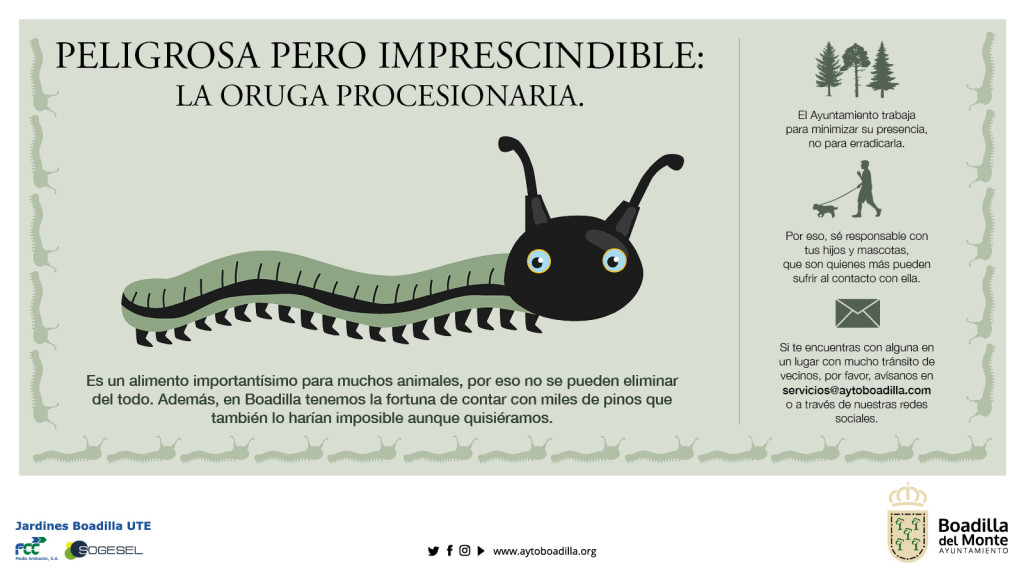 PROCESIONARIA